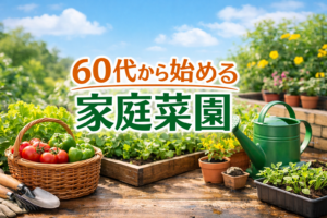 60代から始める家庭菜園のタイトル入りアイキャッチ画像。野菜、園芸道具、ジョウロのある明るい菜園風景。