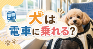 犬と電車移動のアイキャッチ画像